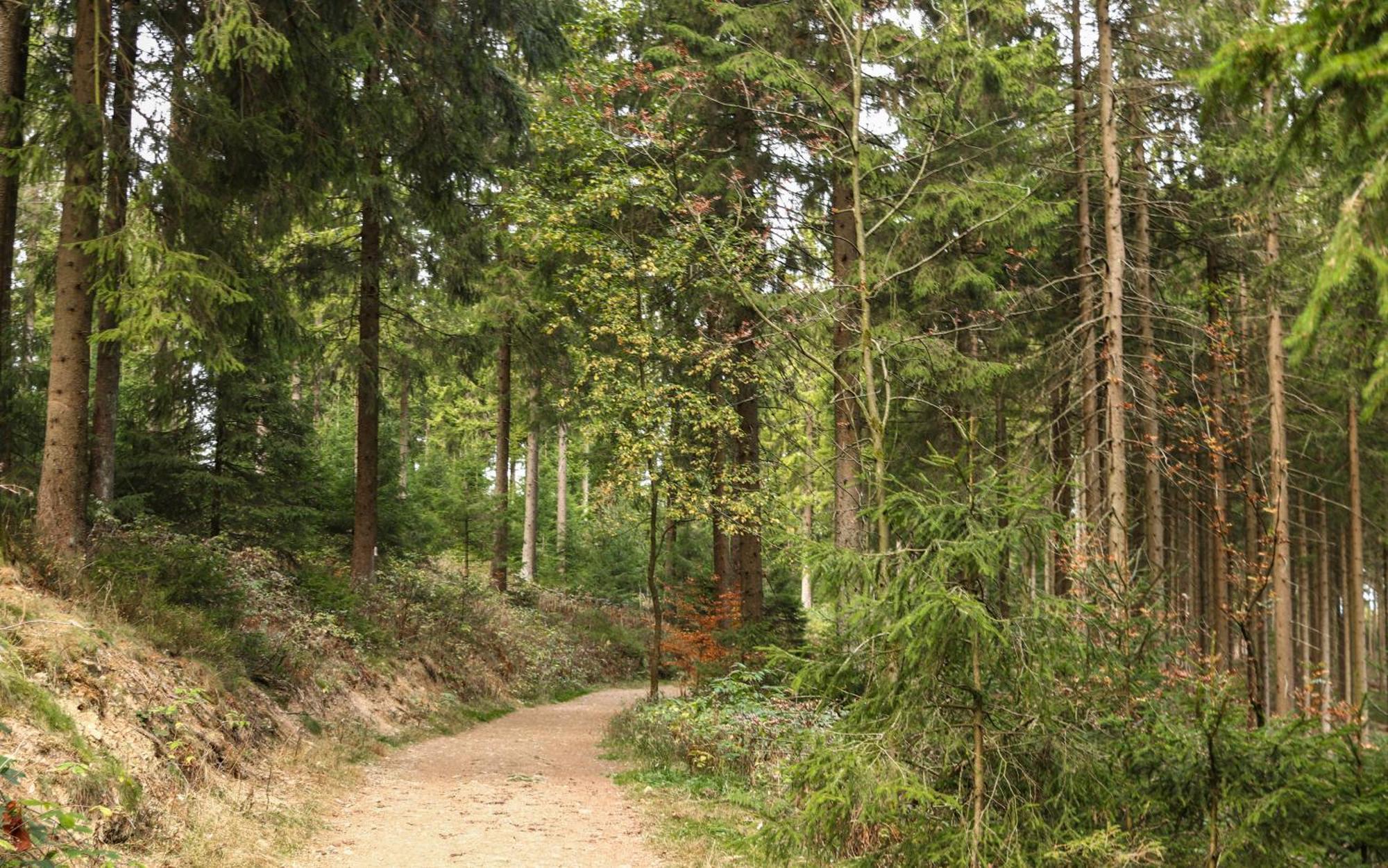 Willa Haus Riesebeek Langelsheim Zewnętrze zdjęcie